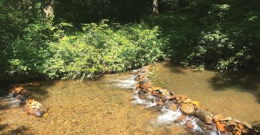 Please...Don’t Move the Rocks