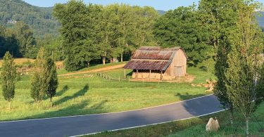 Eat Your View: Farm Freedom