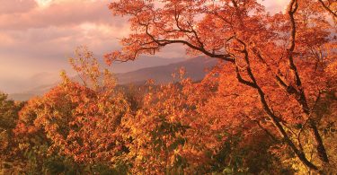 Fall colors in the blue ridge mountains, very orange