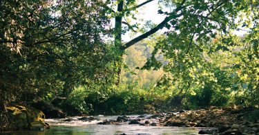 Agriculture, Wildlife Co-exist Peacefully at North River Farms