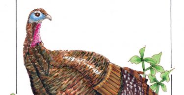 Of a Vegan Childhood & Thanksgiving Turkey