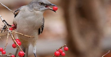 Hibernation Hospitality