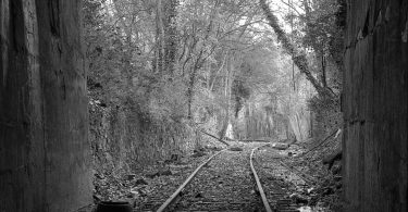 Tracks. Baxter Harrill, artist
