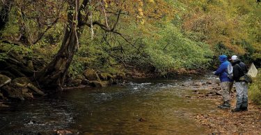 A Perfect Fall Fishing Trip
