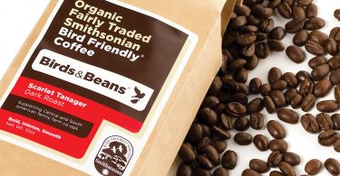 A Guide to Holiday Giving with Conservation in Mind