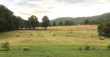 Farmland Conservation: Preserving Our Agricultural Heritage