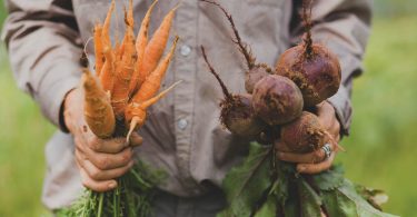 OGS Workshop for Entry-Level Farmers