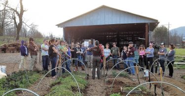OGS Hosts Six-Week Spring Gardening Series