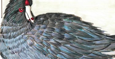 Annie Dillard’s Winter Vision