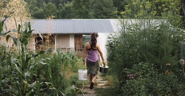Organic Growers School Homestead Dreams Workshop