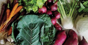 CSA Fairs in Asheville and Boone