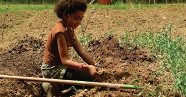 Spotlight On: School of Living Arts