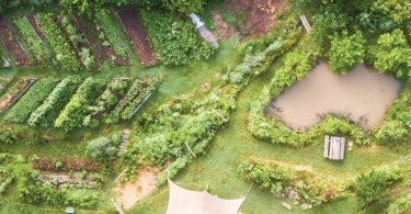 Wild Abundance Teaches Earth-based Skills