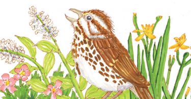 The Literary Gardener: A Landscape of Travels