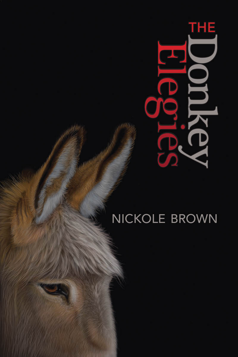 Book Feature: The Donkey Elegies
