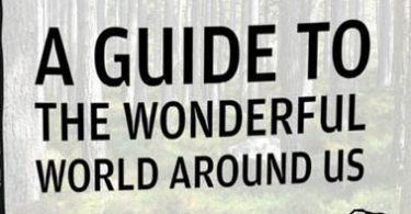A Guide to the Wonderful World Around Us: Notes on Nature