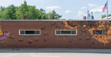 Mural Project Comes to Downtown Hendersonville