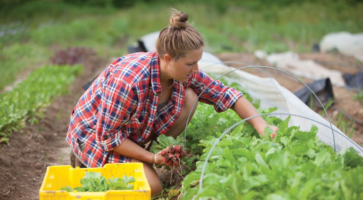 Eat Your View: In a Time of Uncertainty, Join a CSA