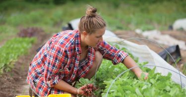 Eat Your View: In a Time of Uncertainty, Join a CSA
