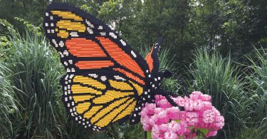 NC Arboretum’s Nature Connects®: Art with LEGO® Bricks