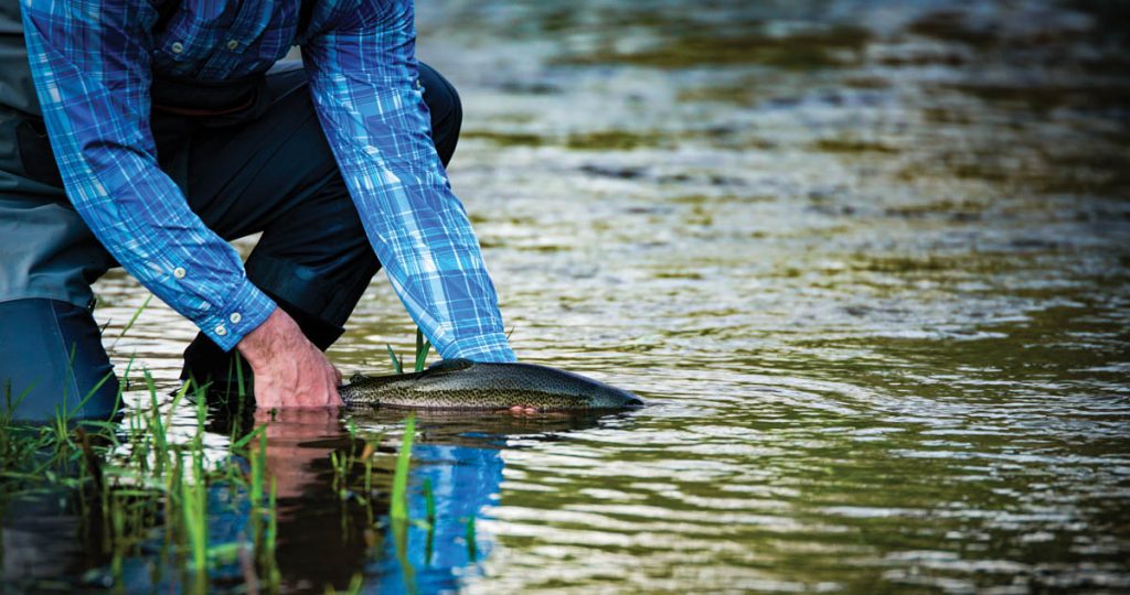 Trout Season's a Great Reason for Getting Outdoors The Laurel of