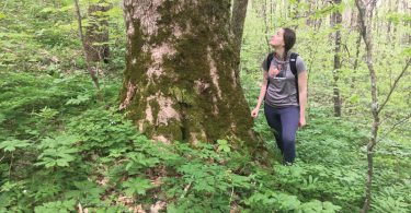 Climate City 2020: Buck Project