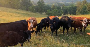Eat Your View: Farmer Values