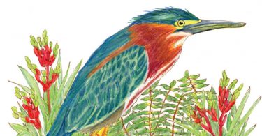 Literary Gardener: Hurricane Season