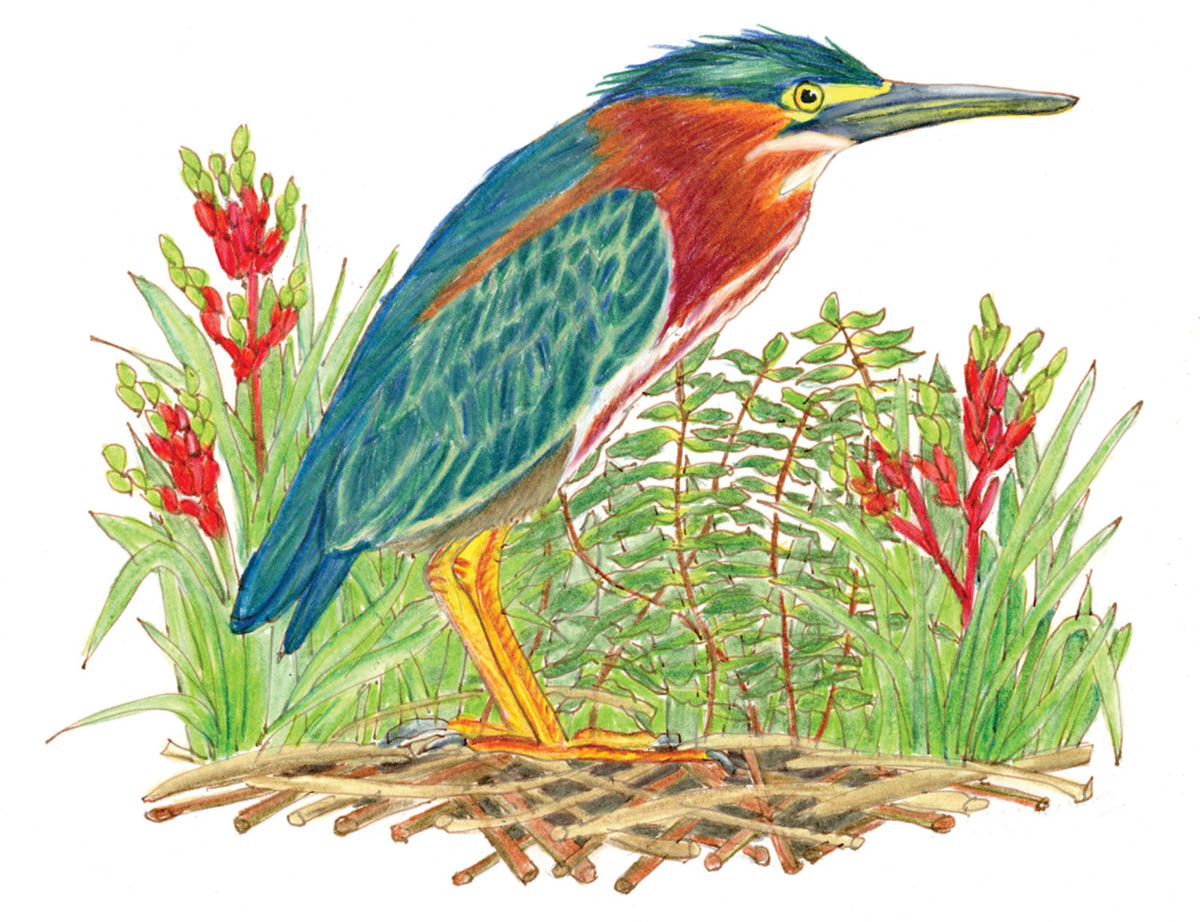 Literary Gardener: Hurricane Season