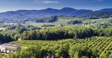 Crest of the Blue Ridge