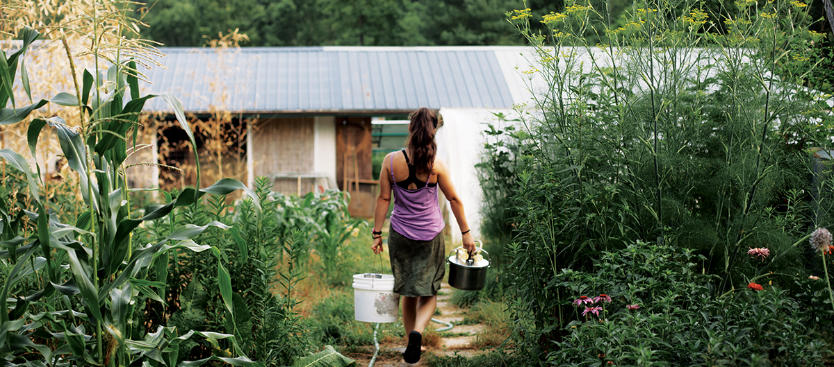 OGS Homestead Dreams