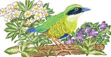 Literary Gardener: Veterans Day Landscape