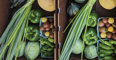 ASAP Business of Farming