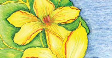 Literary Gardener: Georgia O'Keeffe