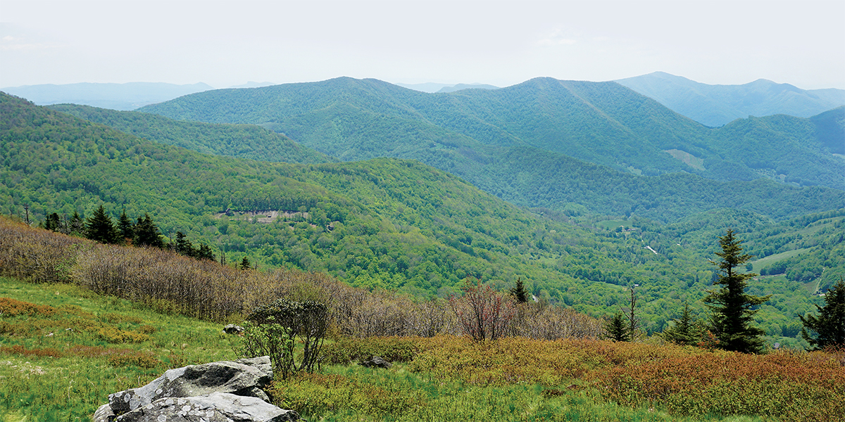 Conservation: Roan Mtn