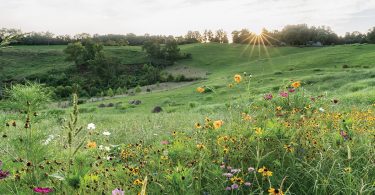 SAHC Preservation Vacation