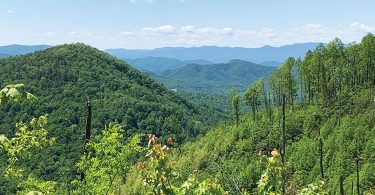 Wilderness Gateway Trail