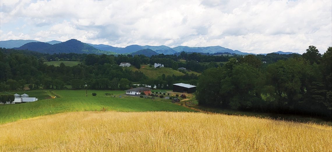 Davis Ranch Colorado Davis Ranch Offers a Stay in the Country - The Laurel of Asheville