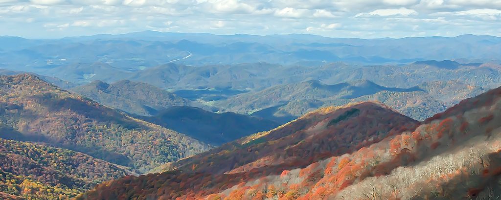 The Observant Gardener: The Beauty of November in Our Mountains - The ...