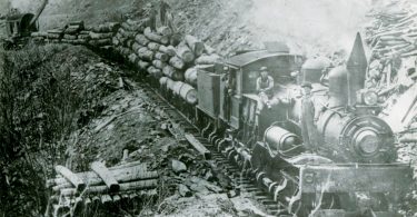 WNCHA Champion Fibre Logging