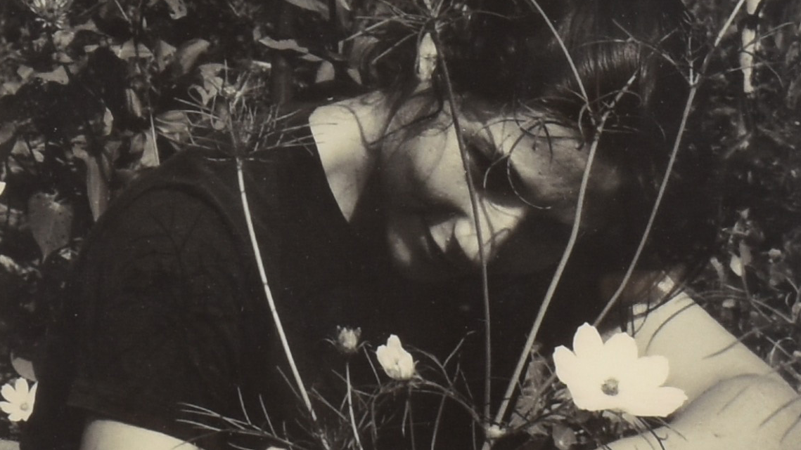 Vera-B-Williams-banner (1)