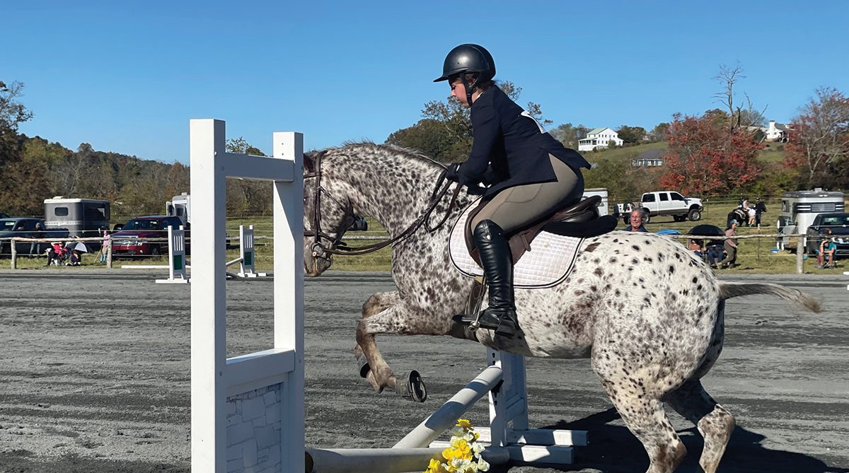 Davis Ranch Hosts 3rd Annual Fall Open Horse Show - The Laurel of Asheville