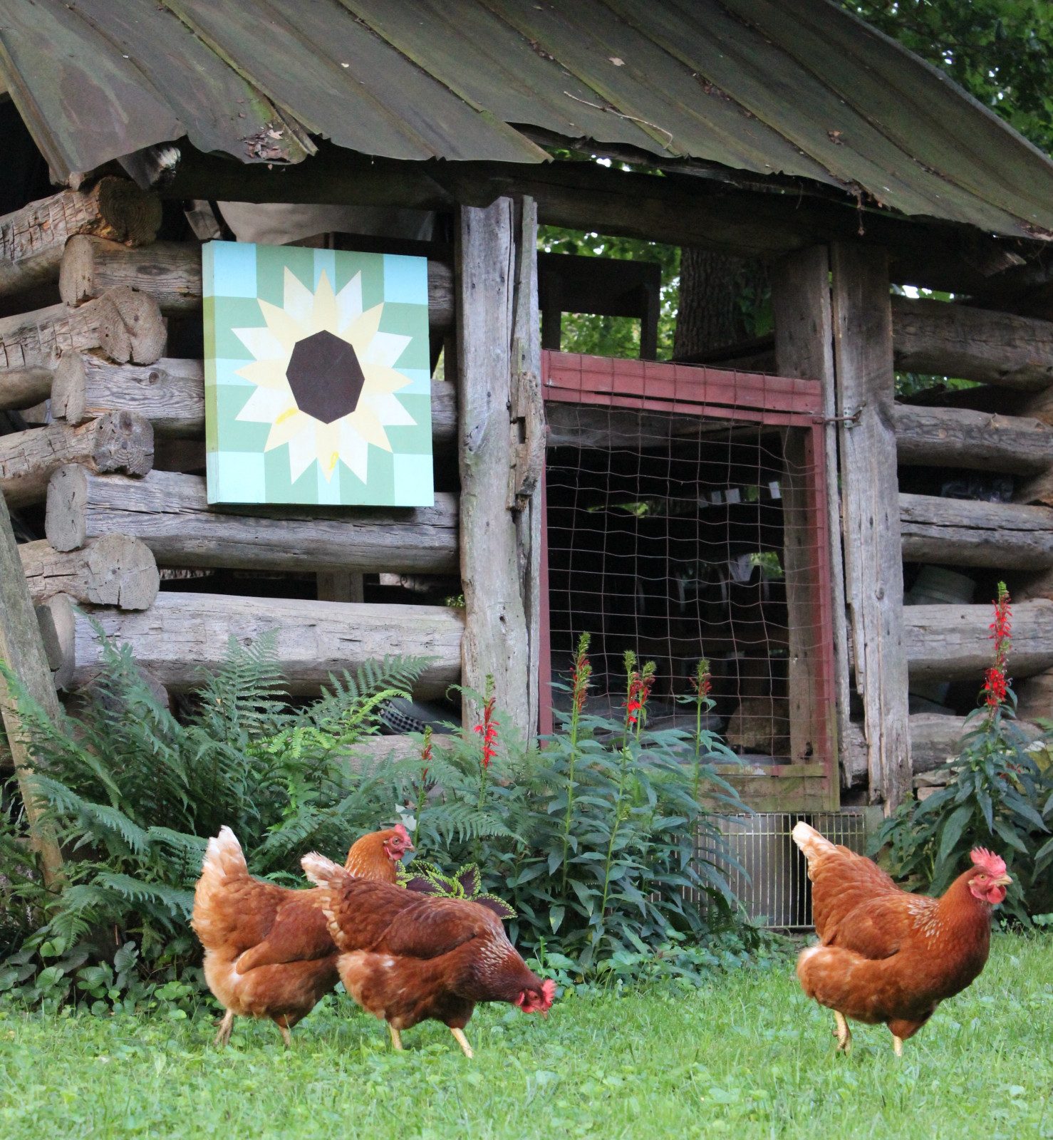 West Asheville Garden Stroll — Outdoors & nature in Asheville